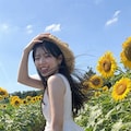 Walking Through Sunflowers 2枚目