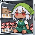 ６月２１日は冷蔵庫の日 5枚目