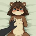 クマもみ 6枚目