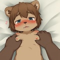 クマもみ 12枚目