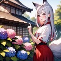 お狐様と雨の紫陽花園 7枚目