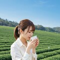 美しすぎる茶摘み 5枚目