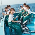 カツオ釣り 6枚目