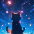 星の下の猫 4枚目