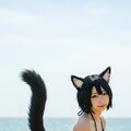 Feline Beach Day 8枚目