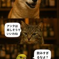 いぬとねこといんこ26 9枚目