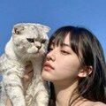 猫とR-15 10枚目