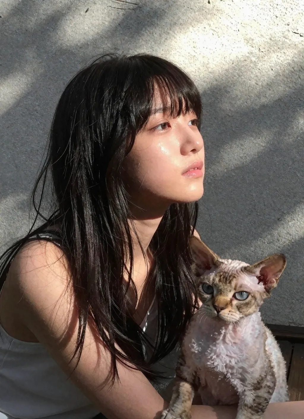 猫とR-15