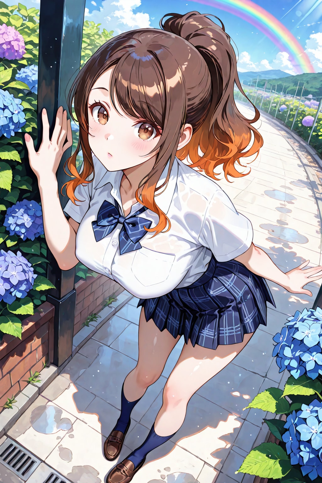 紫陽花と虹