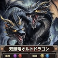 オルトドラゴン 2枚目