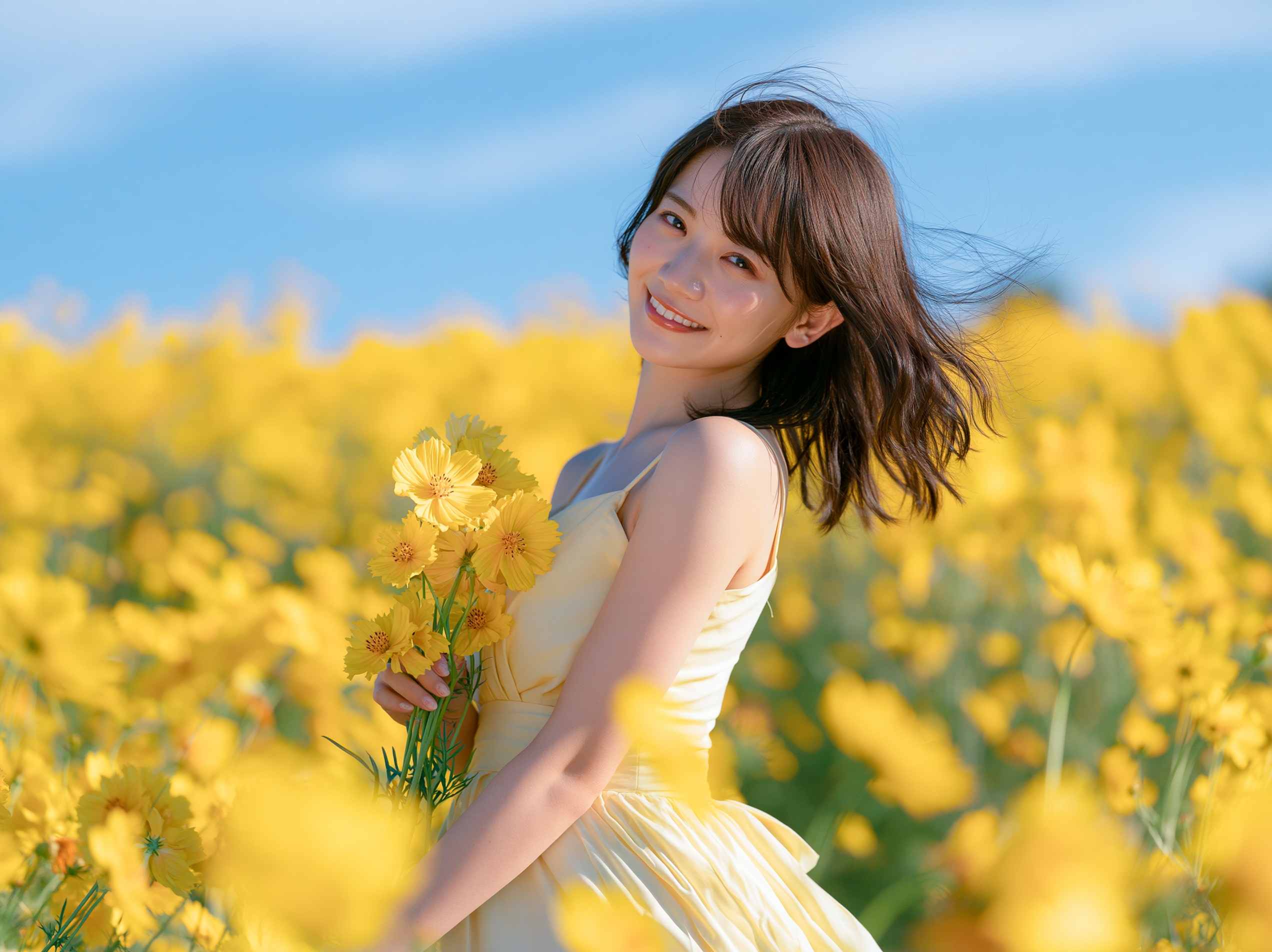 コレオプシス（ハルシャギク）の花畑