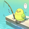 釣りする喋るインコ 10枚目