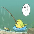 釣りする喋るインコ 11枚目