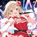 ハイビスカスステージ 4枚目