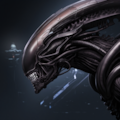 Xenomorph 3枚目