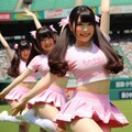 みけぽちゃチアガール 4枚目