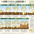 なんかおもいついた 2枚目