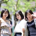 20260517 7枚目