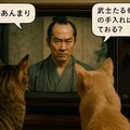 しゃべるねこと時代劇 4枚目