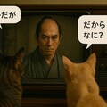 しゃべるねこと時代劇 2枚目