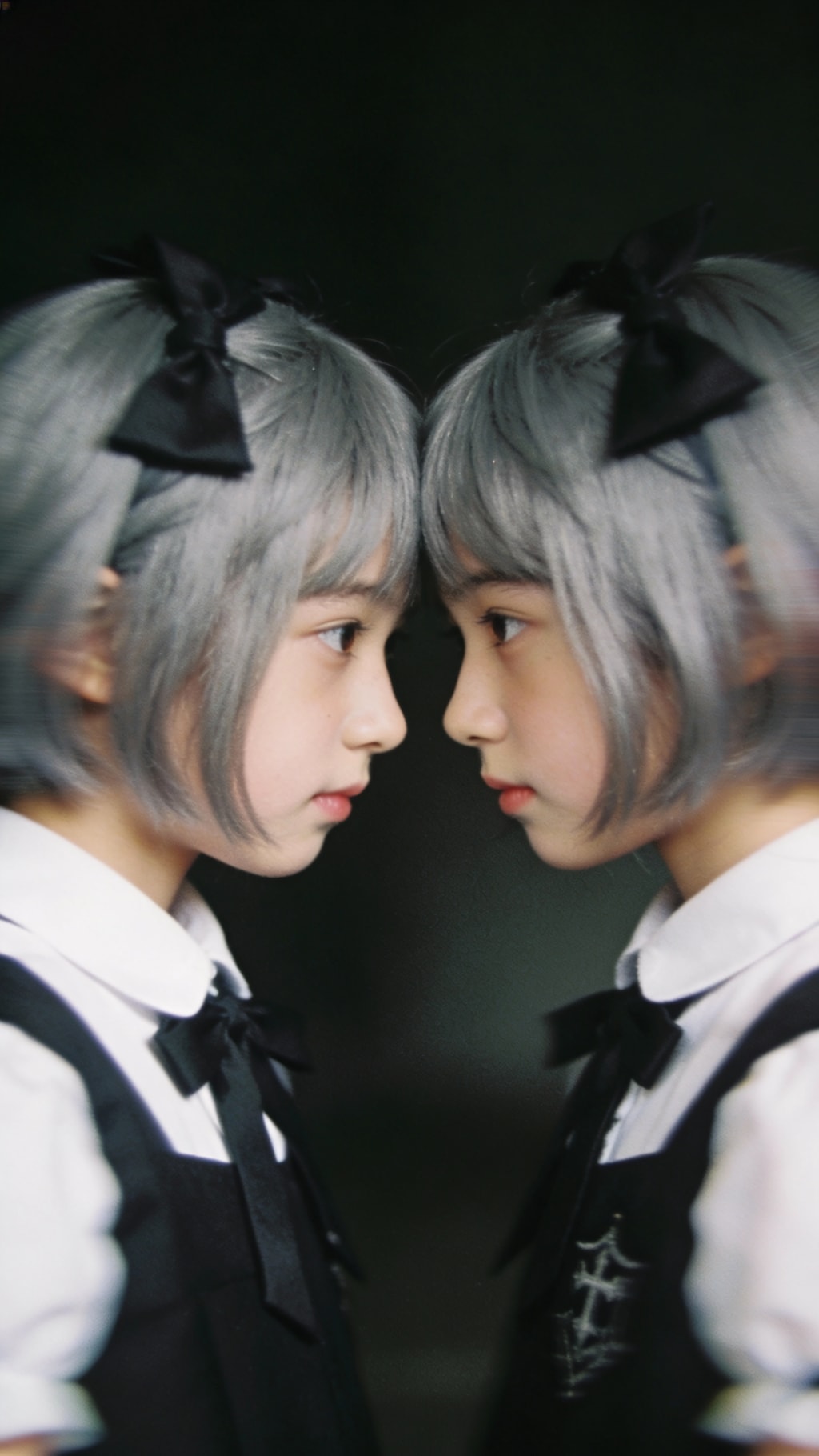 The Twin Gaze: Reflection in Shadow