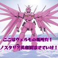 『ガンダムペルシェー√Peace And Peachー』【ニャンノ世界】 4枚目