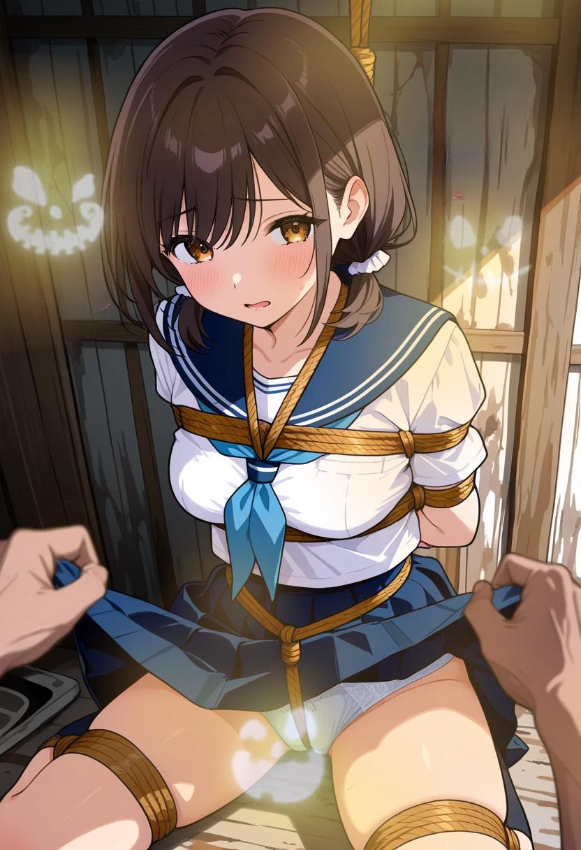 狙われたセーラー