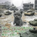『灰色猫は戦車で攻める』【ニャンノ世界】 2枚目