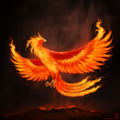 Phoenix 3枚目