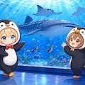 ペンギン満喫フィーバー🐧 6枚目
