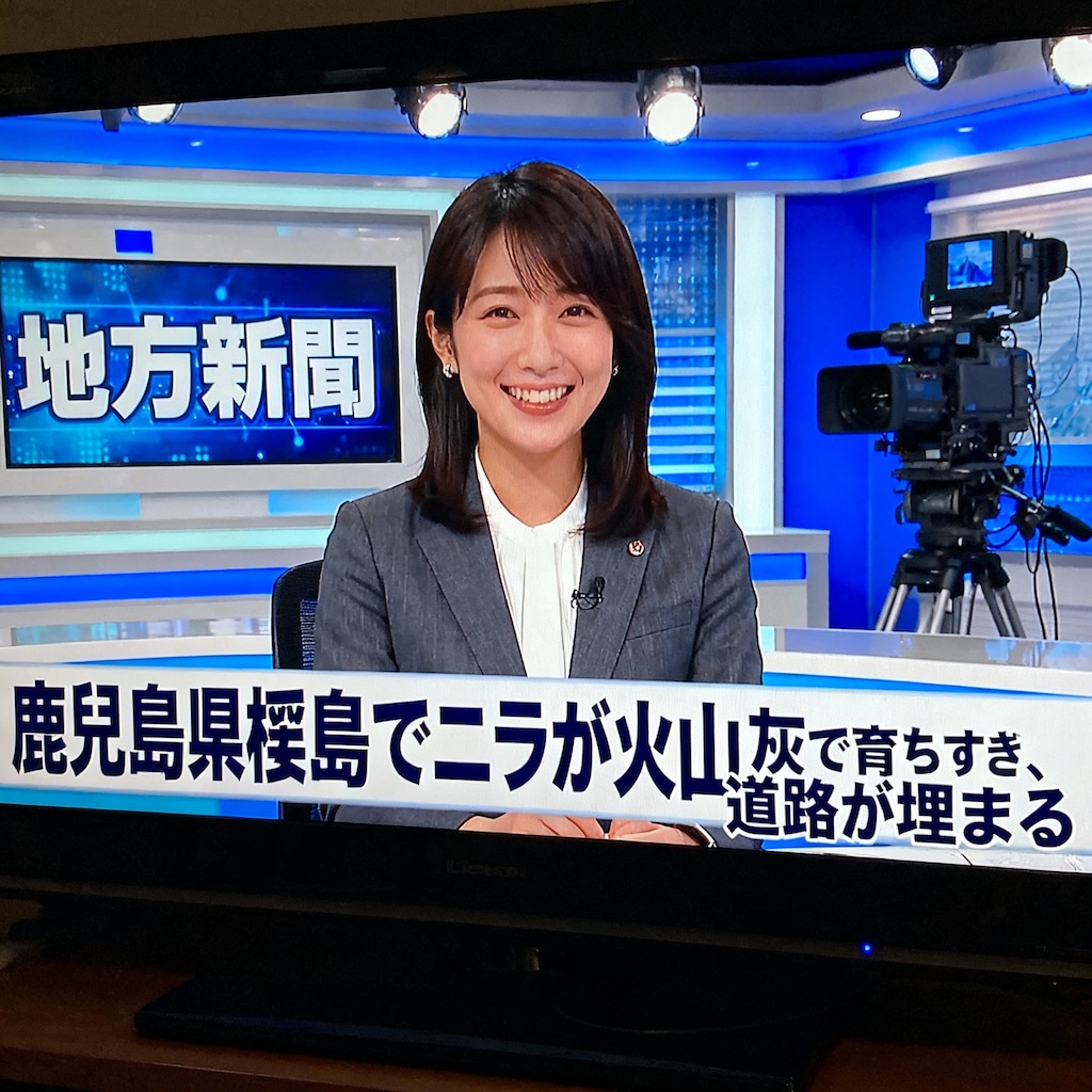 地方ニュース。