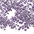 purple pattern.botanical,flower,ivy 8枚目