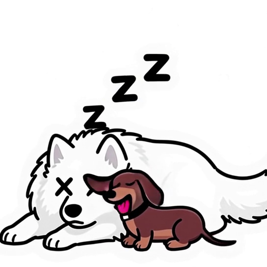 サモエドんとダックス君　耳びんたでお目覚め | の人気AIイラスト・グラビア