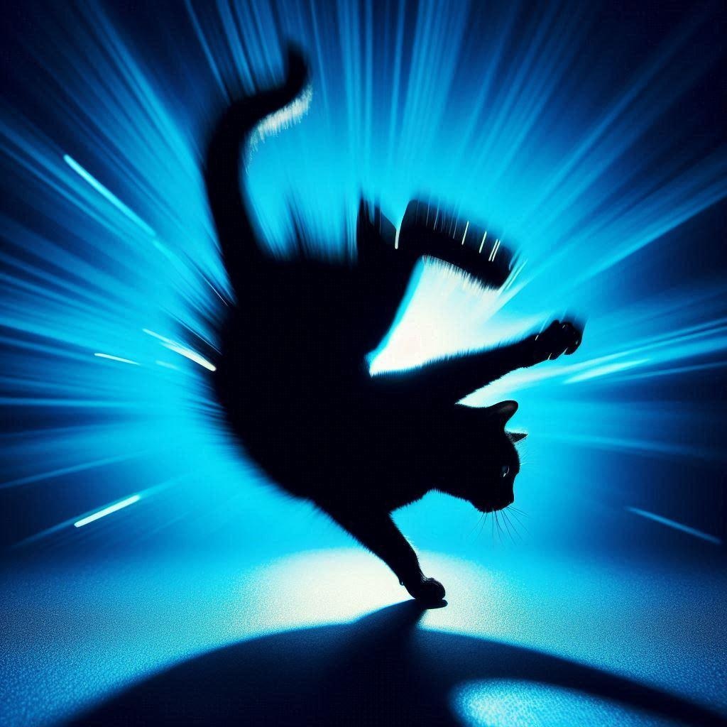 赤と青の背景と猫