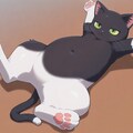 へそ天 2枚目