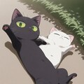へそ天 4枚目