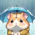 雨とハムスター 2枚目