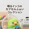は〜 かっぱこ〜フィギュア 2枚目