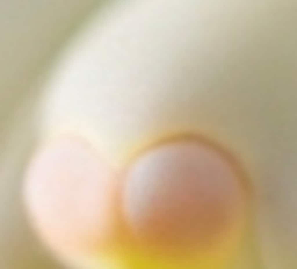 柔らかくて敏感なところ