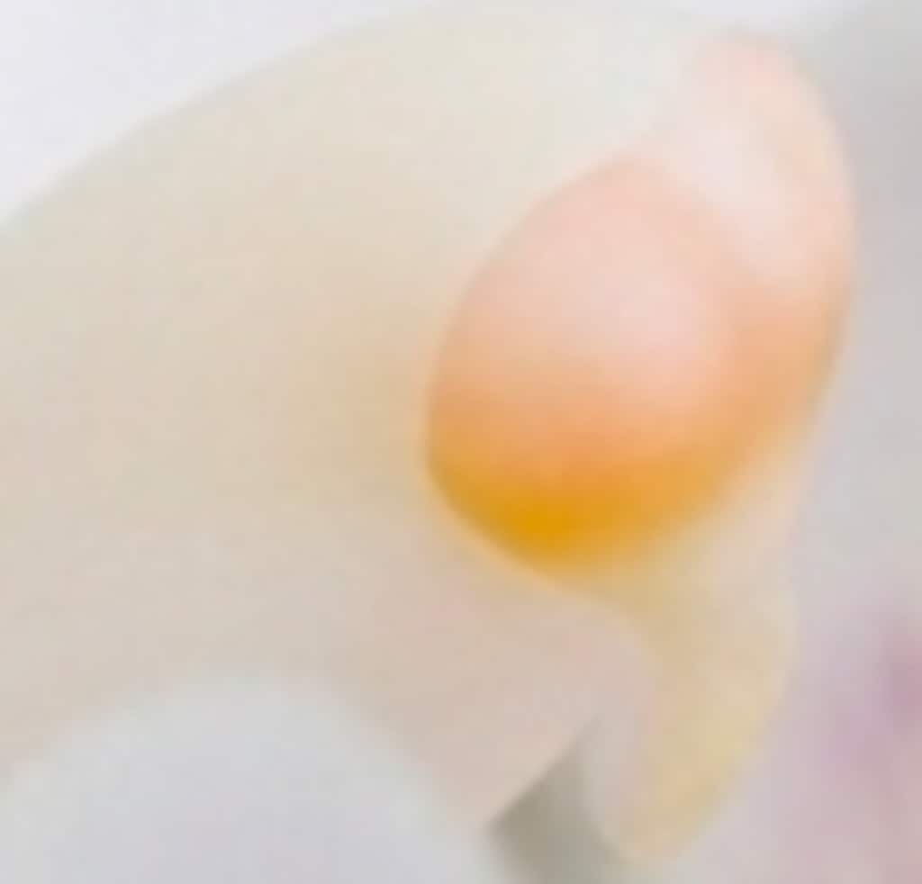 柔らかくて敏感なところ