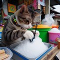 かき氷屋で働く猫 2枚目