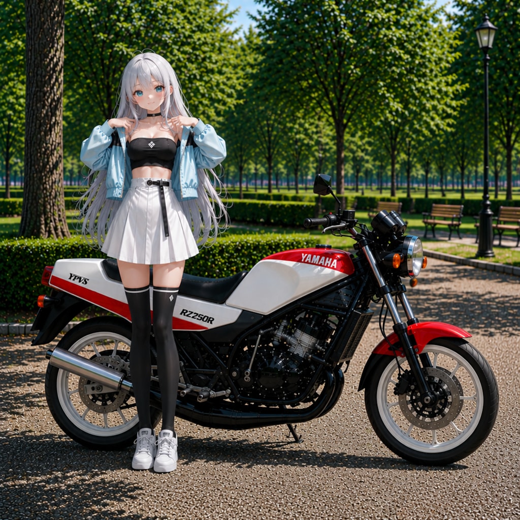 RZ250R（29L/RZ-ism）