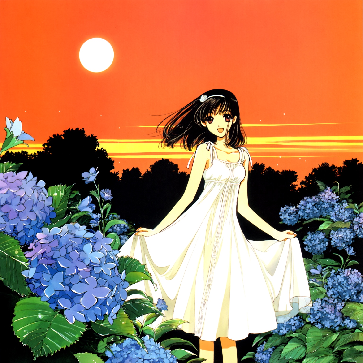 夕日と紫陽花