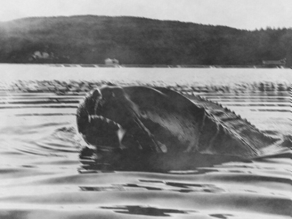 フラットヘッド湖にて