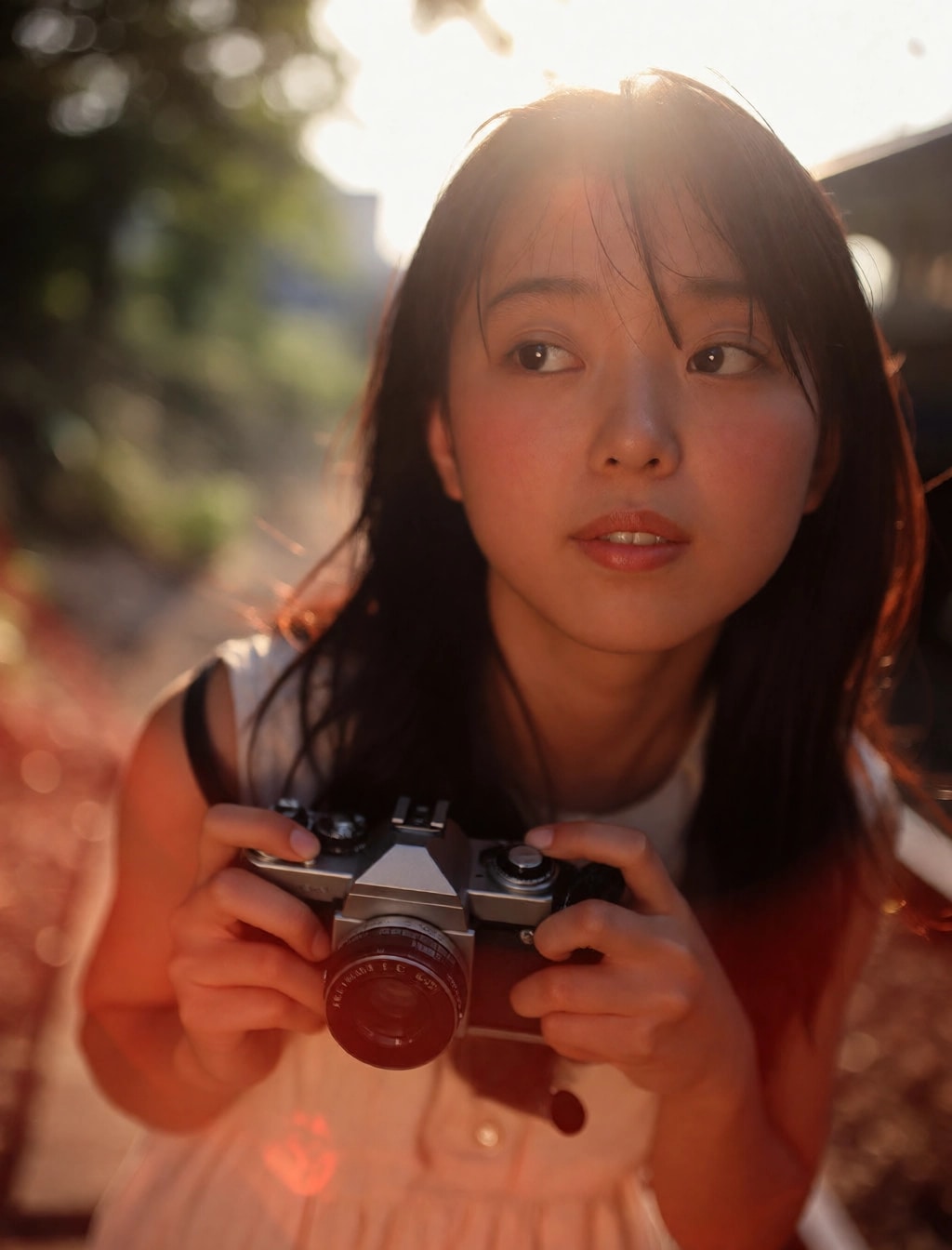夏