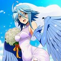 空飛ぶ花嫁ブルマ各種コスプレハーピー人妻 2枚目