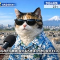 本日のニュース。8 3枚目
