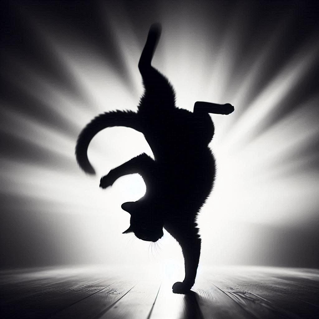 影で刻むビート