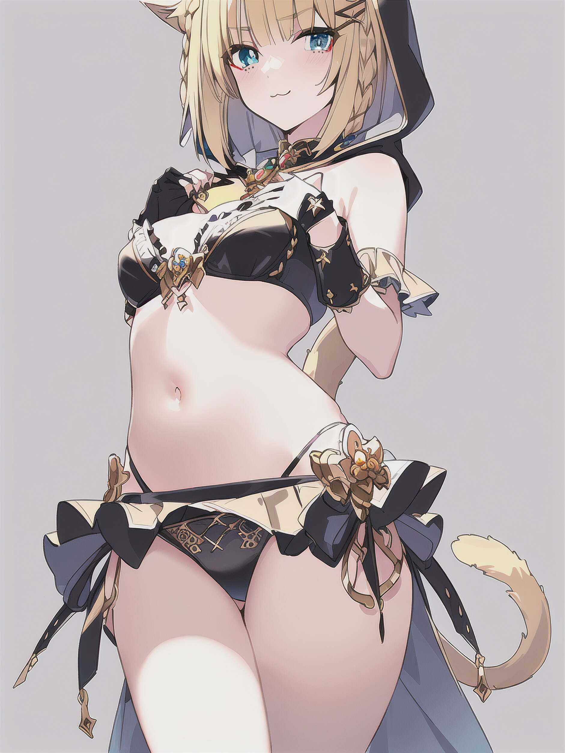 パルドフェリスを出したいです