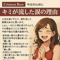 キミが流した涙の理由 ─ Crimson Roseと共に 2枚目